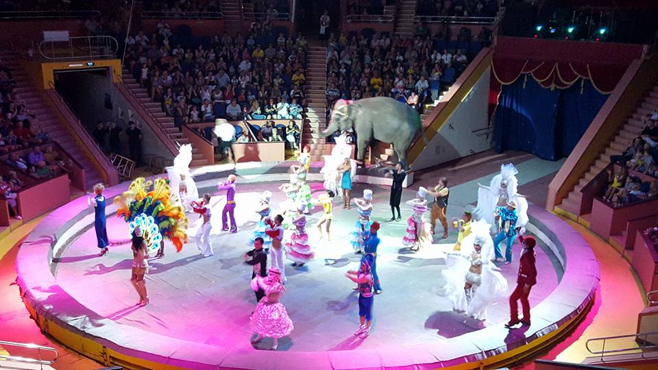 Сочинский государственный цирк