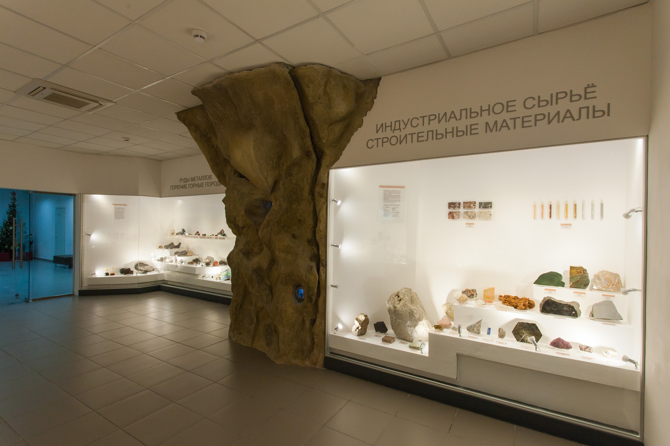 Музей природы г. Новосибирск