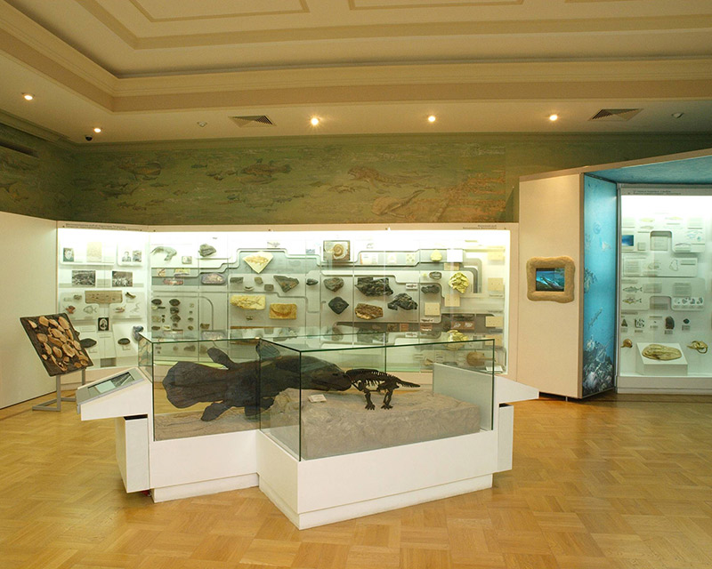 Музей естественной истории Татарстана